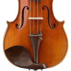 Kinnhalter einer Geige