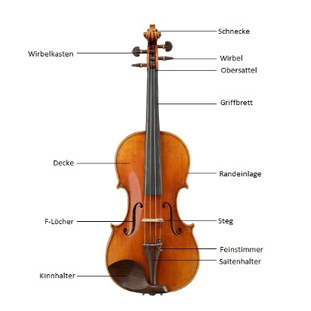 Geigen Alles Wissenswerte Erfahren Paganino