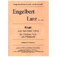 Lanz, E.: Elegie »Lied ohne Worte« für Streichquintett 