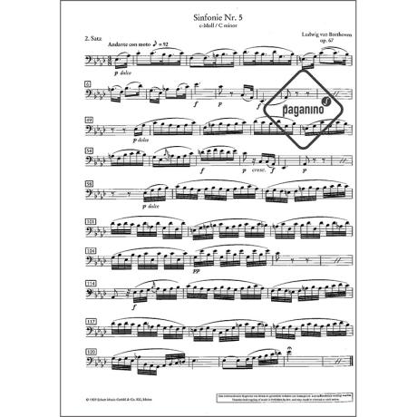 Orchester Probespiel: Violoncello - Cello Solo