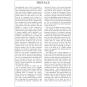 morepic-5