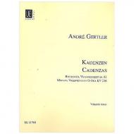 Gertler, A.: Kadenzen zu Violinkonzerten von L. v. Beethoven und W. A. Mozart 