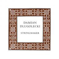Damian DLUGOLECKI Violinsaite G 
