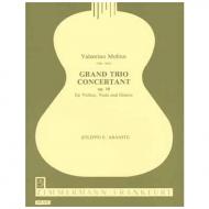 Molino, V.: Grand Trio concertant Op. 10 