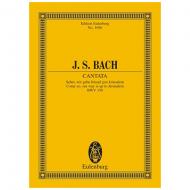 Bach, J. S.: Kantate BWV 159 »Dominica Estomihi« 