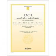 Bach, J. S.: Jesus bleibt meine Freude BWV 147 