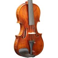 BERDANI Violine Strad Modell 