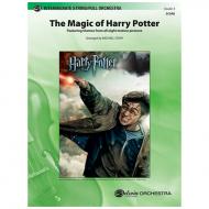 Story, M.: The Magic of Harry Potter 
