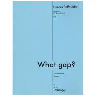 Raffaseder, H.: What gap? 2. Streichquartett 