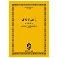 Bach, J. S.: Kantate BWV 51 »Dominica 15 post Trinitatis et in ogni Tempo« 