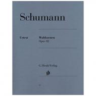 Schumann, R.: Waldszenen Op. 82 