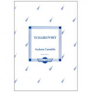 Tchaikowsky, P. I.: Andante Cantabile 