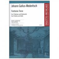 Gallus-Mederitsch, J.: Fantasia Terza 