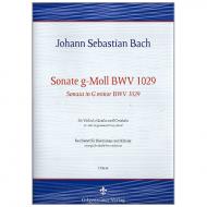 Bach, J. S.: Kontrabasssonate g-Moll nach BWV1029 