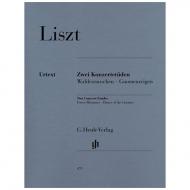 Liszt, F.: Zwei Konzertetüden 