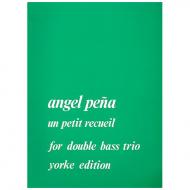 Pena, A.: Un petit recueil 