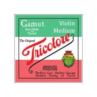 GAMUT Tricolore Violinsaite D 