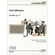 Hillmann, C.: Terzetto Op. 17 