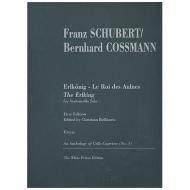 Schubert, F.: Der Erlkönig Op. 1 D382 