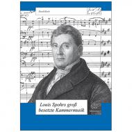 Koch, D.: Louis Spohrs groß besetzte Kammermusik 