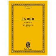 Bach, J. S.: Kantate BWV 158 »Kantate zum 3. Ostertag« 