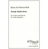 Jež-Brezavšček, B.: Steady Reflections 