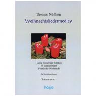 Nüdling, T.: Weihnachtslieder-Medley – Stimmen 