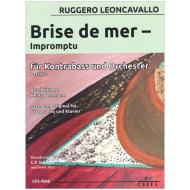 Leoncavallo, R.: Brise de mer – Impromptu 