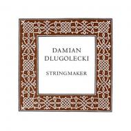 Damian DLUGOLECKI Violinsaite D 