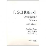 Schubert, F.: Arpeggione Sonata in g Minor (Orchestral Tuning) 