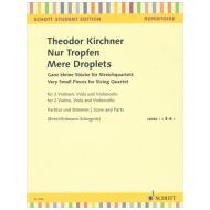 Kirchner, T.: Nur Tropfen 