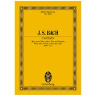 Bach, J. S.: Kantate BWV 127 »Dominica Estomihi« 