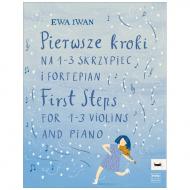 Iwan, E.: First Steps 