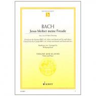 Bach, J. S.: Jesus bleibet meine Freude BWV 147 