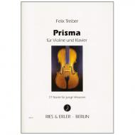 Treiber, F.: Prisma 