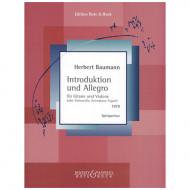 Baumann, H.: Introduktion und Allegro 