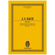 Bach, J. S.: Singet dem Herrn ein neues Lied 