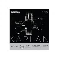 VIVO Violinsaite D von Kaplan 