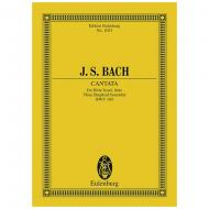 Bach, J. S.: Kantate BWV 104 »Am Sonntage Misericordias Domini« 