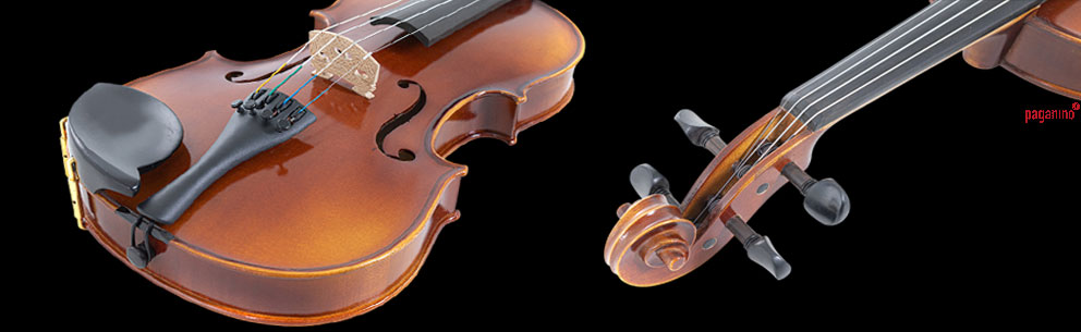 Streicherwissen: Die Geige